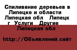 Спиливание деревьев в Липецке и области - Липецкая обл., Липецк г. Услуги » Другие   . Липецкая обл.